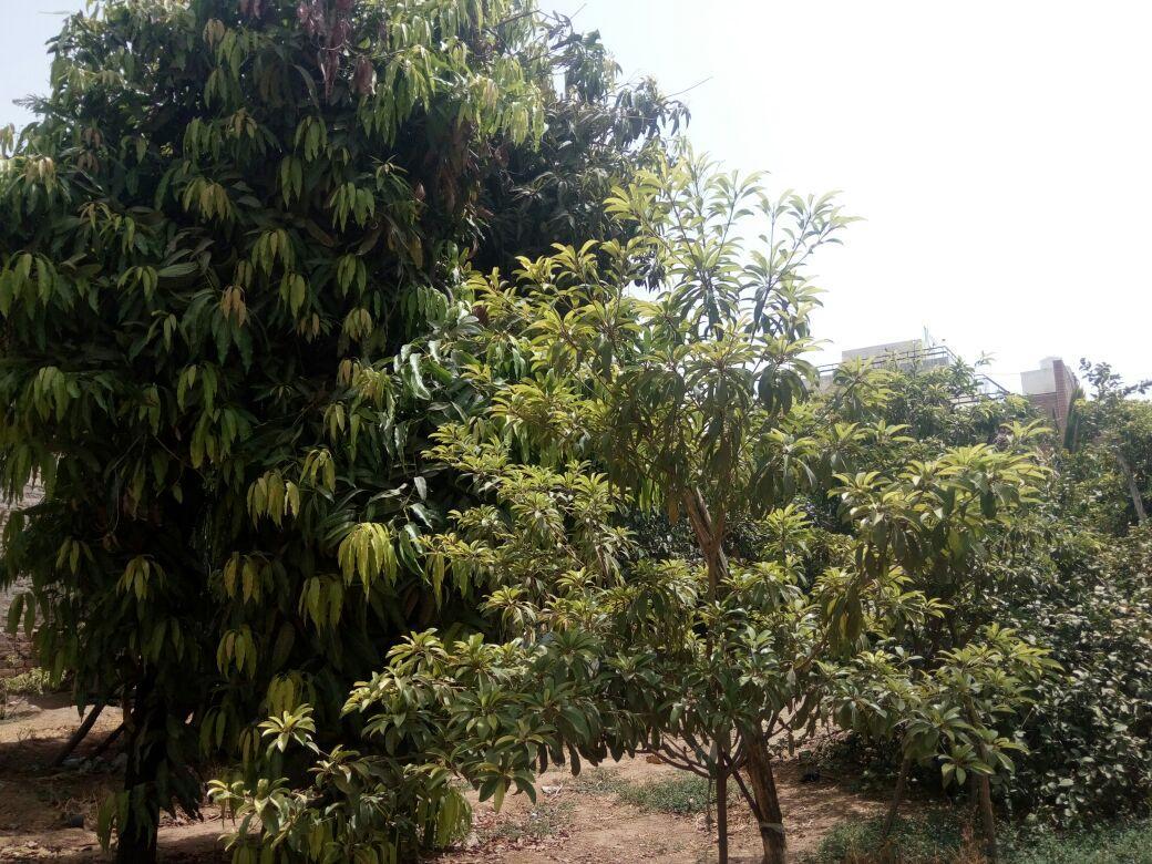 Nature Trail Camps & Homestay Jodhpur  Extérieur photo