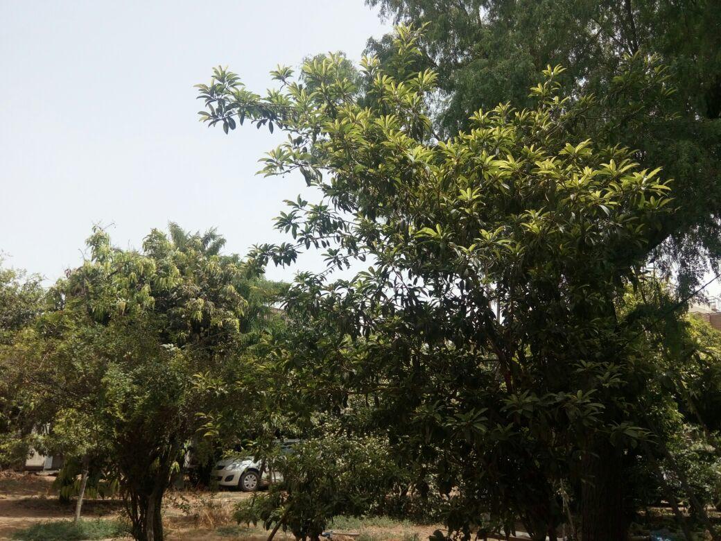 Nature Trail Camps & Homestay Jodhpur  Extérieur photo