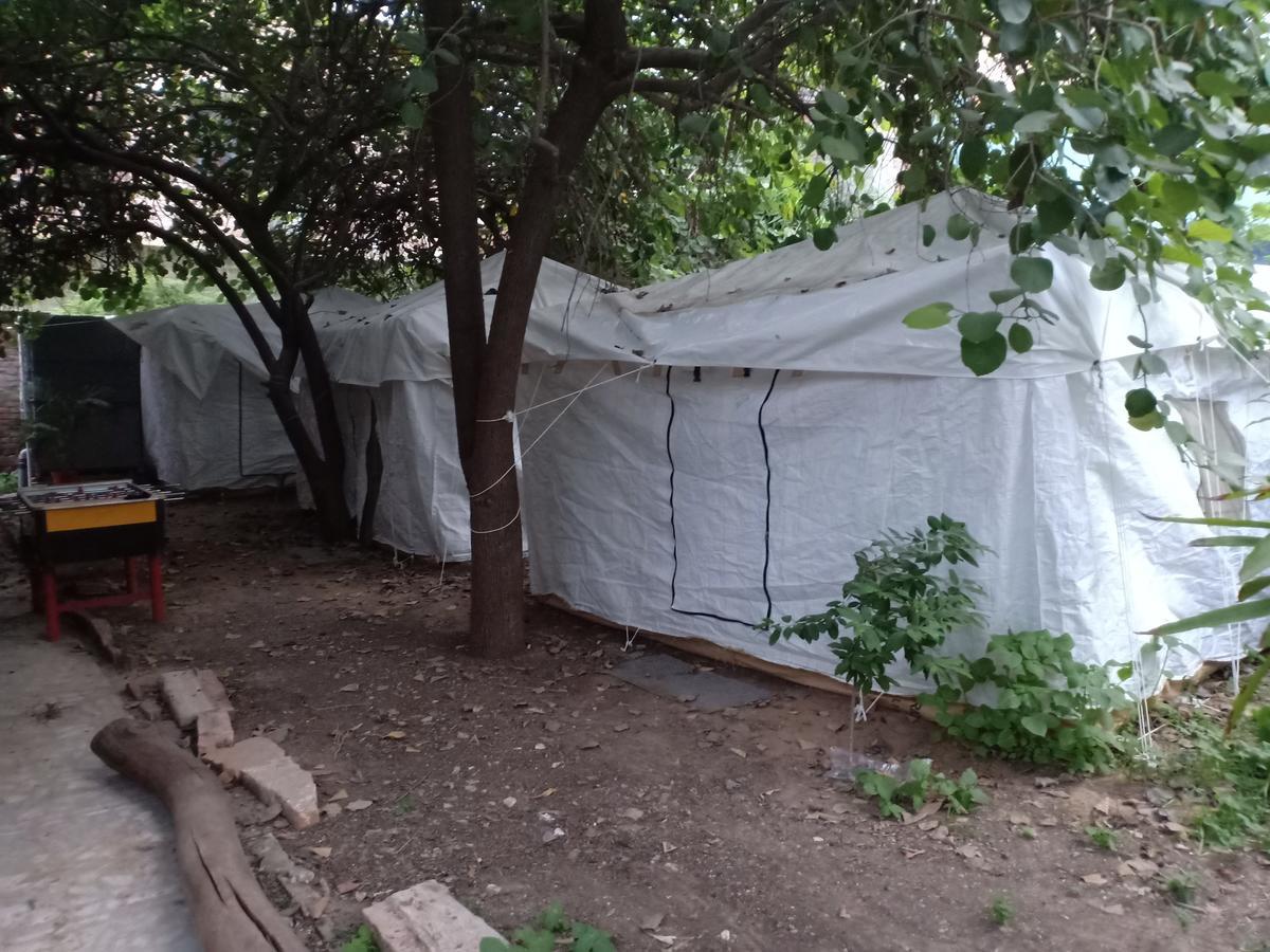 Nature Trail Camps & Homestay Jodhpur  Extérieur photo