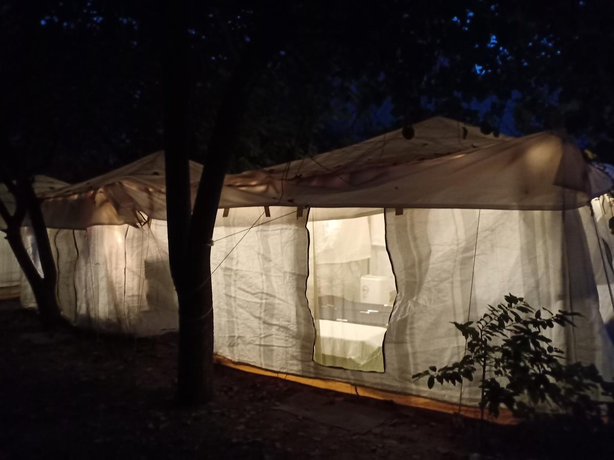 Nature Trail Camps & Homestay Jodhpur  Extérieur photo