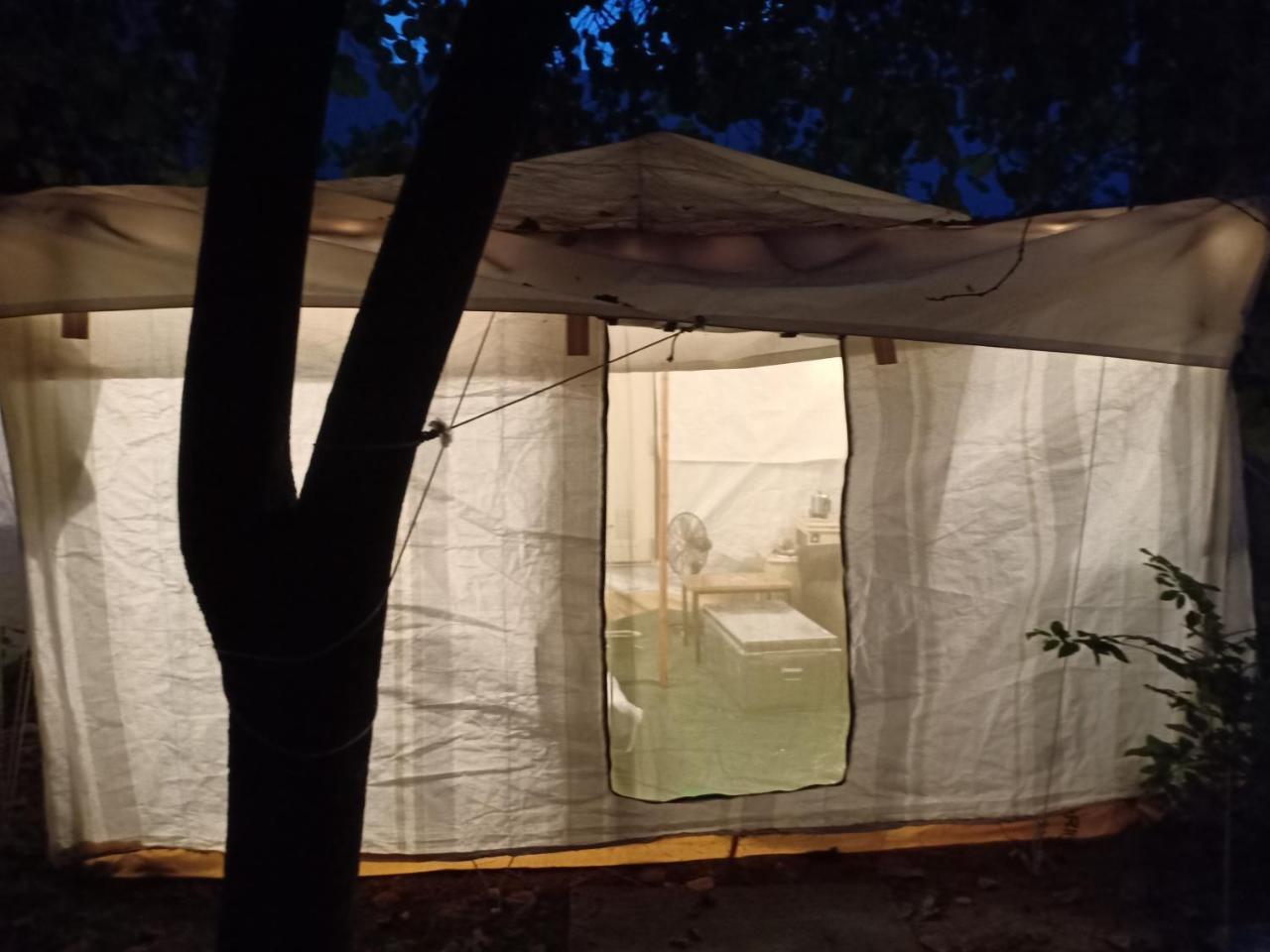 Nature Trail Camps & Homestay Jodhpur  Extérieur photo