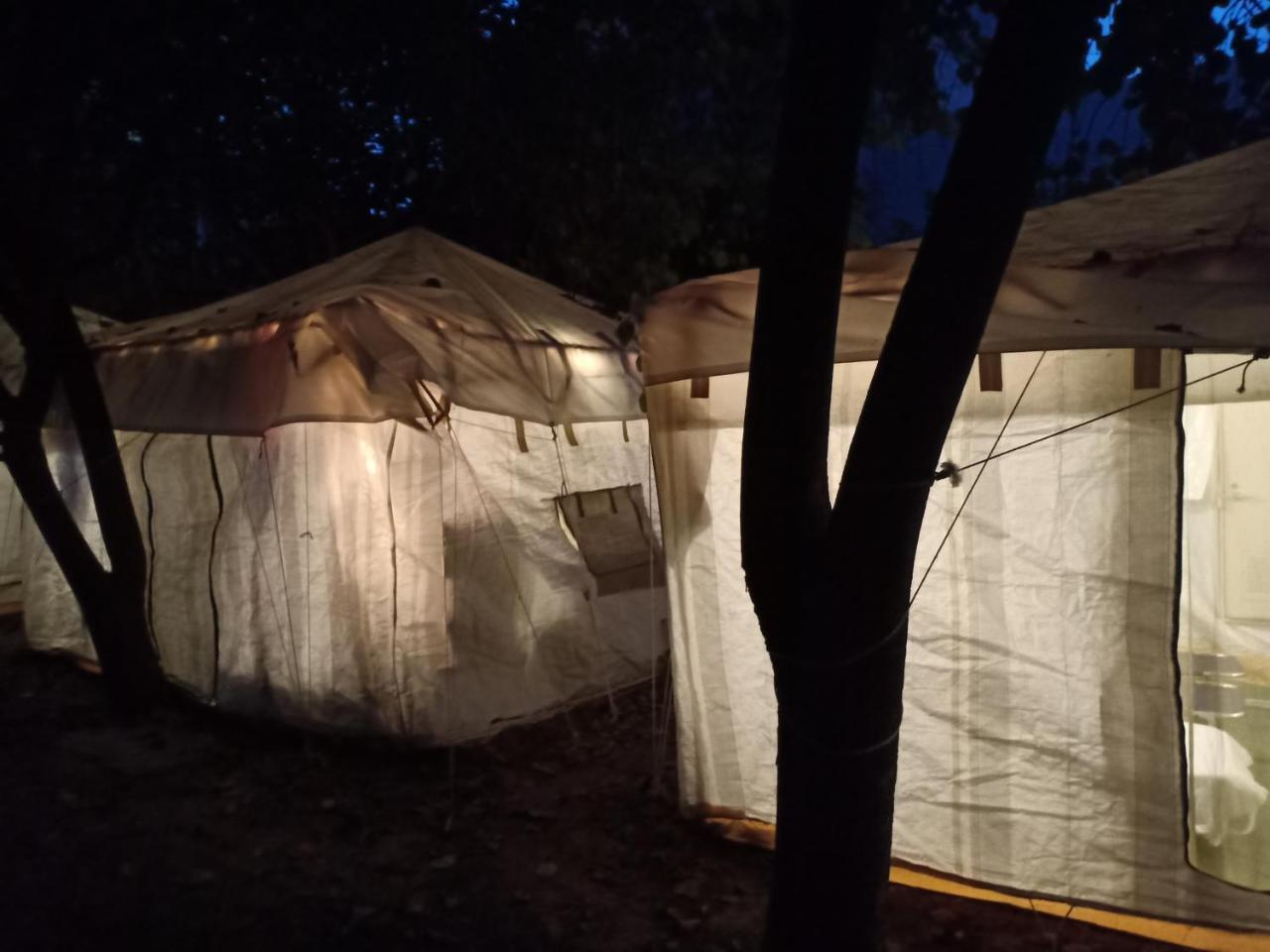 Nature Trail Camps & Homestay Jodhpur  Extérieur photo