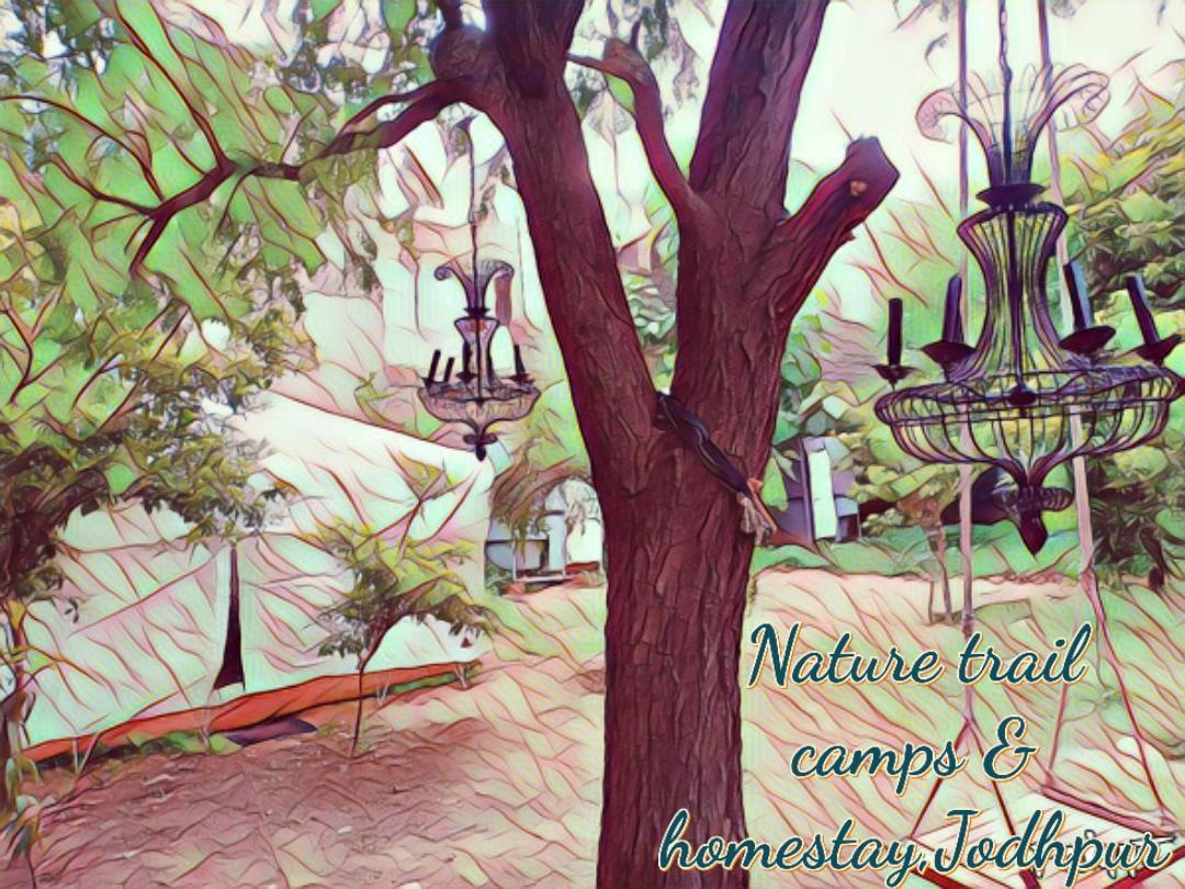 Nature Trail Camps & Homestay Jodhpur  Extérieur photo