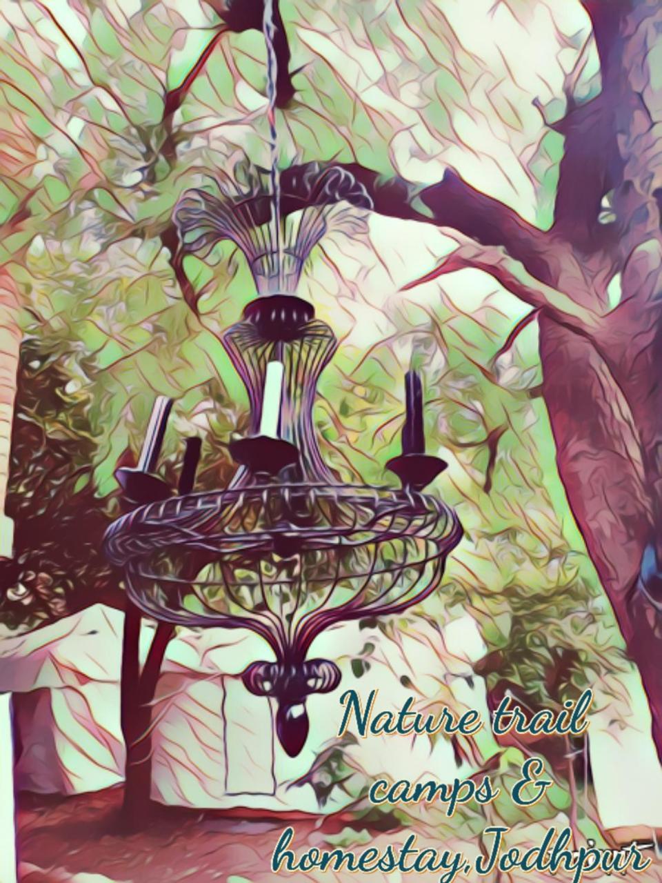 Nature Trail Camps & Homestay Jodhpur  Extérieur photo
