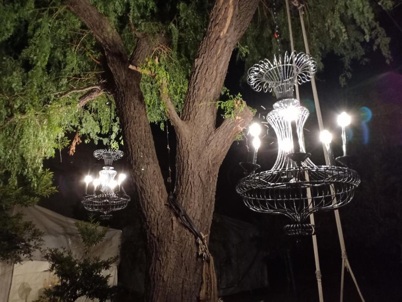 Nature Trail Camps & Homestay Jodhpur  Extérieur photo