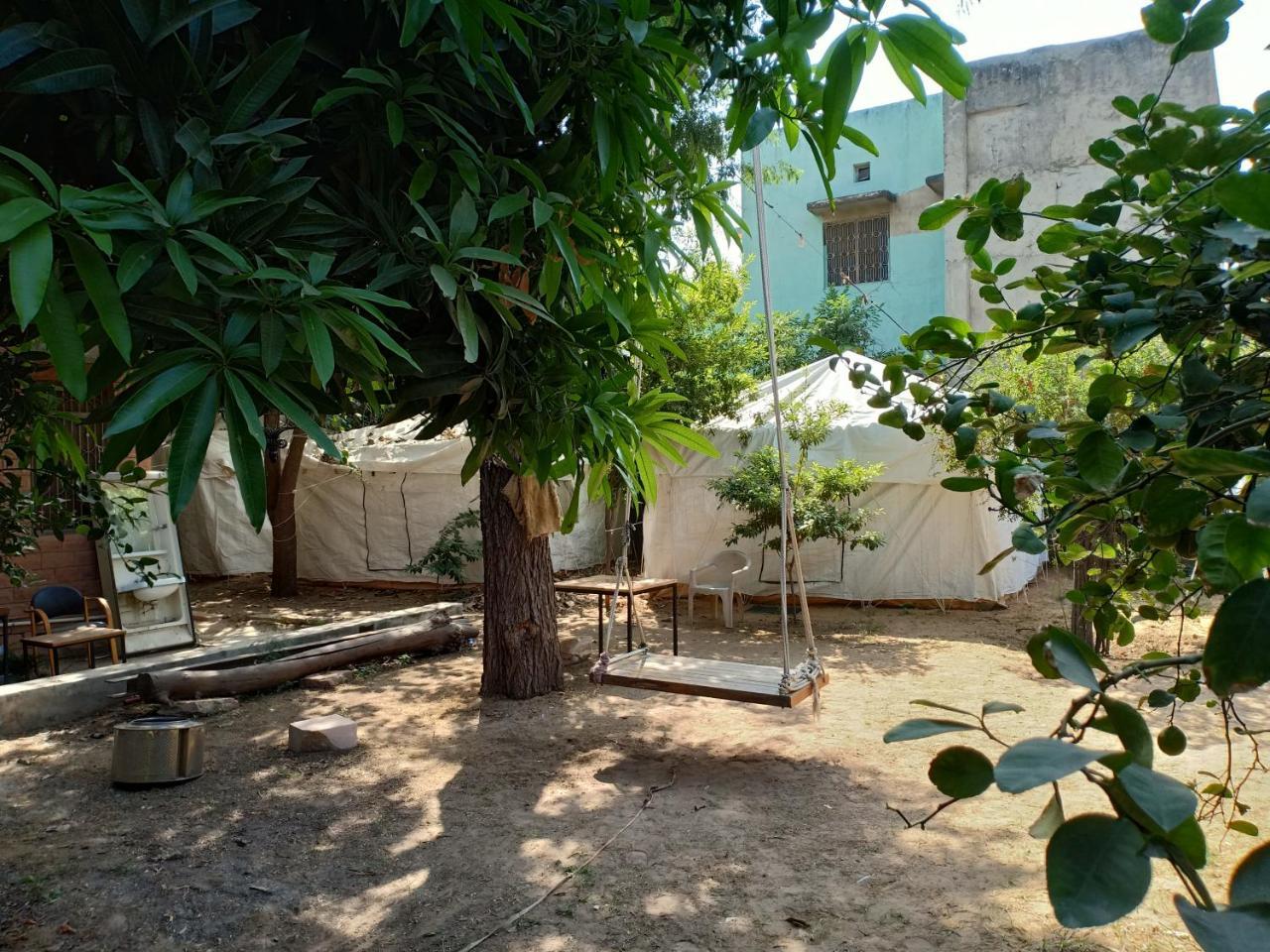 Nature Trail Camps & Homestay Jodhpur  Extérieur photo